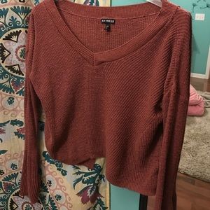 Express V-neck sweater